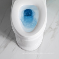 2020 Dual-Flush One-Piece Elongated SiphonicI WC Toilet